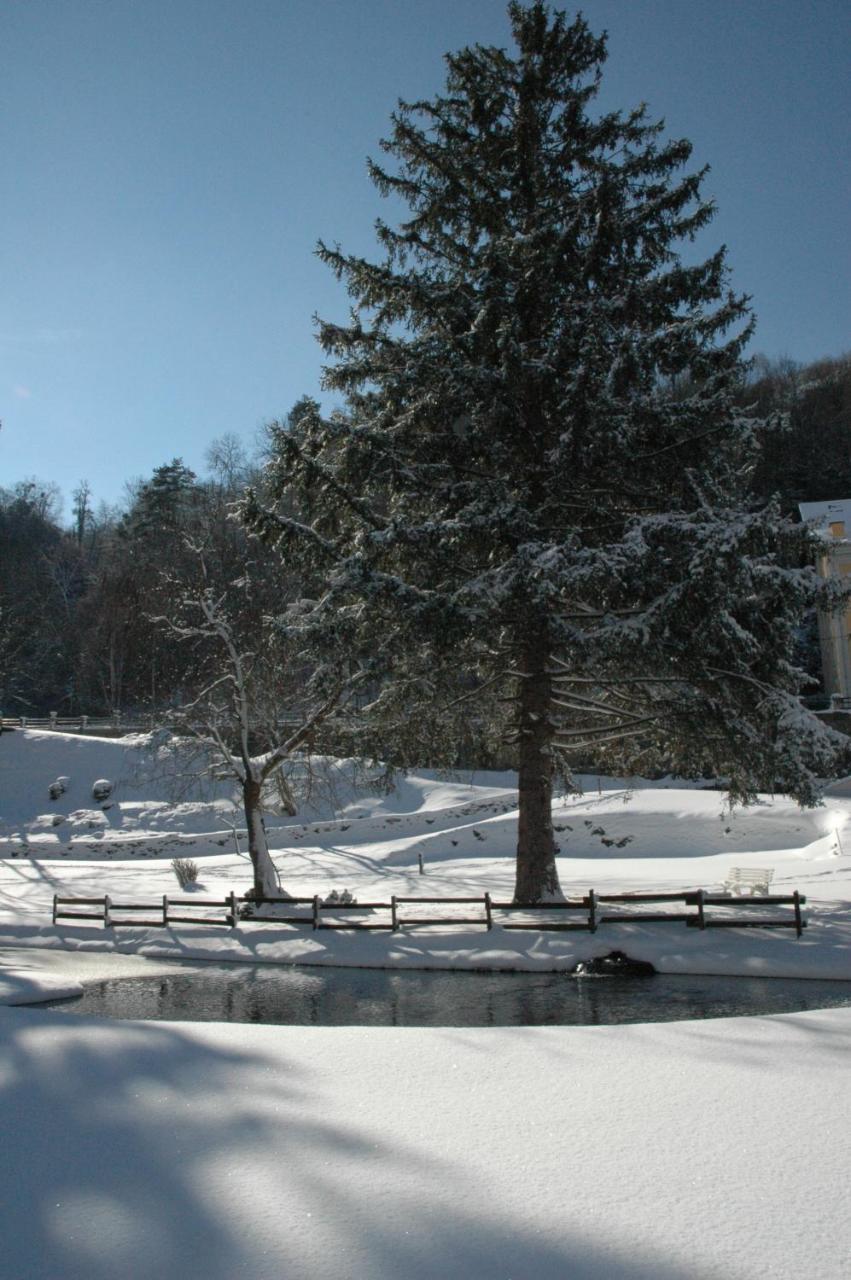 Appart Le Chili- Quartier Thermal- Parc Remarquable - Linge Fourni Luz-Saint-Sauveur Exterior photo